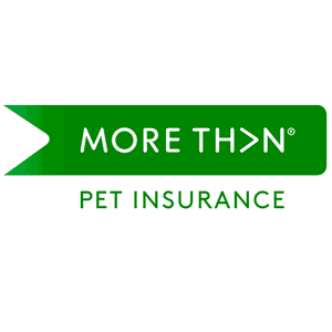 More Than Pet Insurance Review Rating