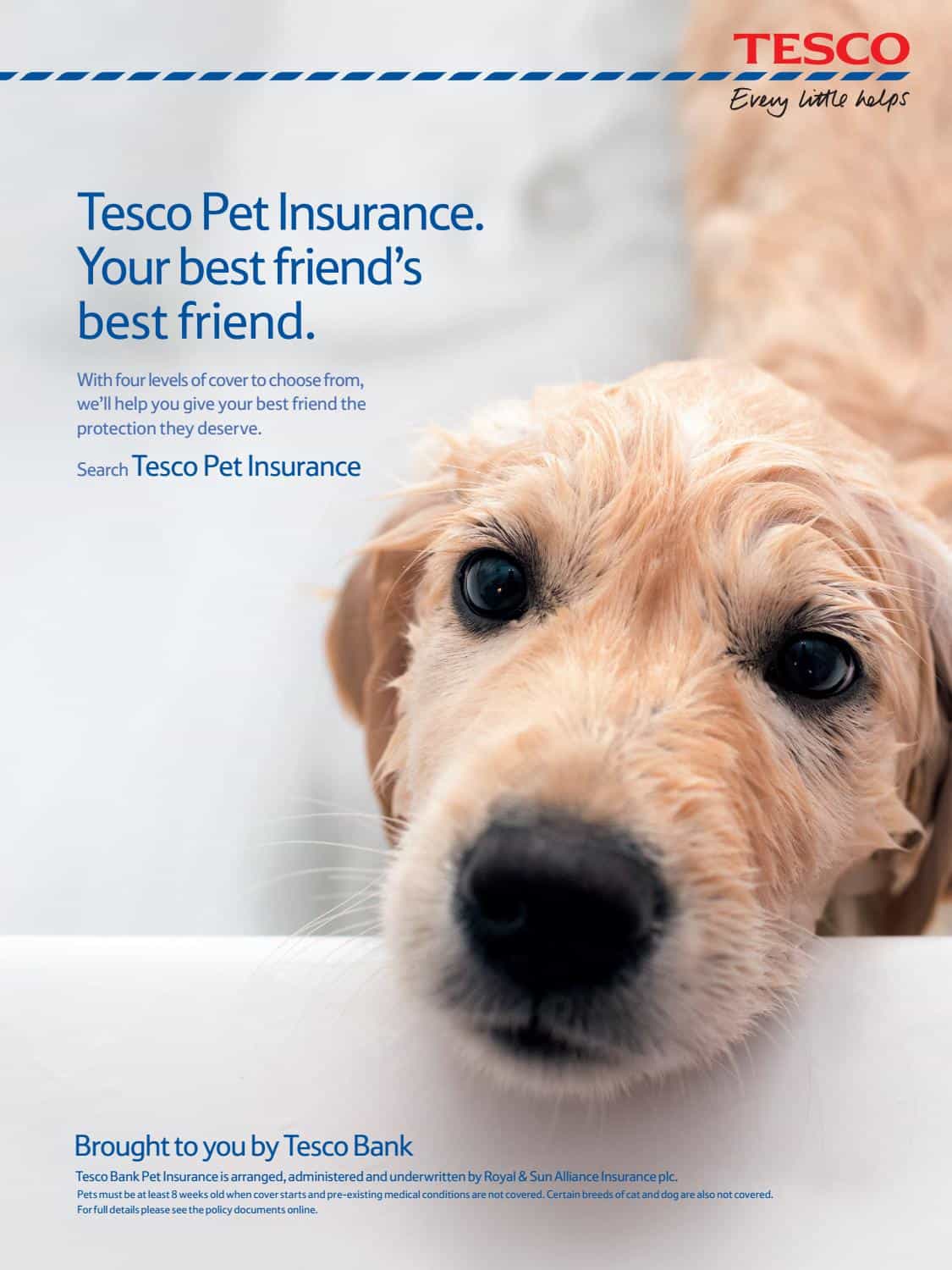 Tesco Premier Cover Details » The Pet Insurance Guide
