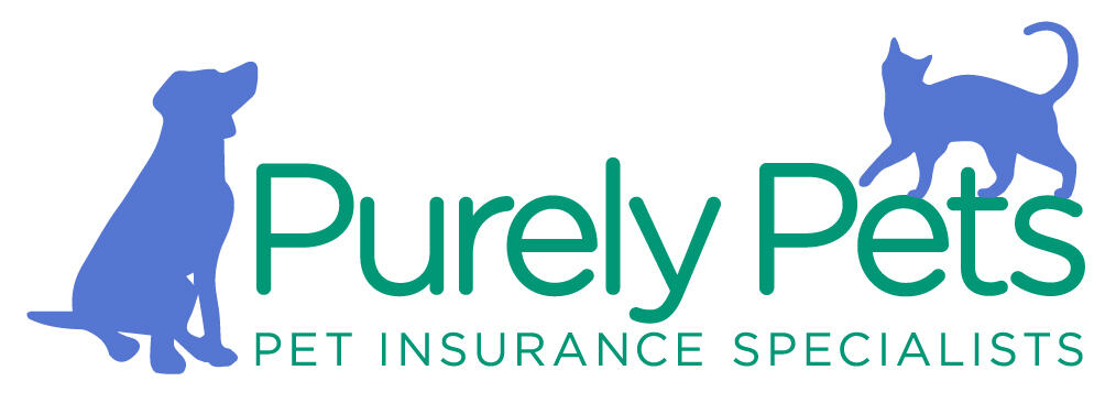 Purely Pets pet insurance review rating