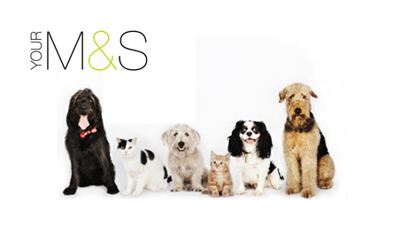 M&S Pet Insurance